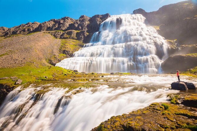 Dynjandi Waterfall and Westfjords Farm Tour