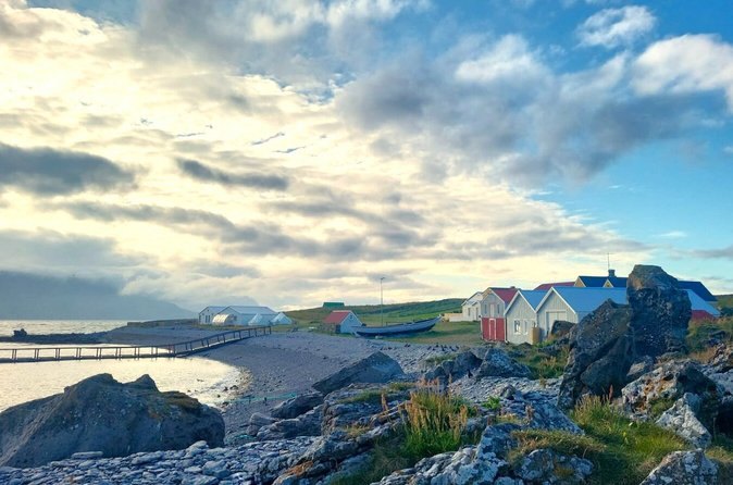 The red-roofed buildings and the jetty on Vigur Island